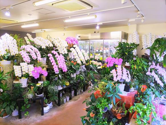 「花廣」　（滋賀県彦根市）の花屋店舗写真2